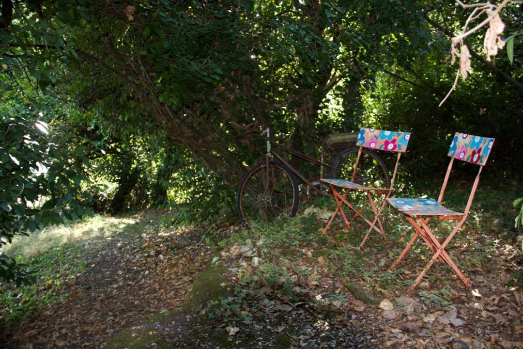 La Charentine Bed and Breakfast Echillais Εξωτερικό φωτογραφία